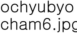 cham6
